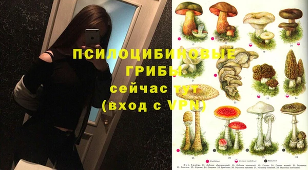 PSILOCYBIN Наволоки