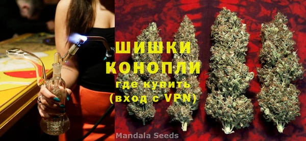 МДПВ Нея